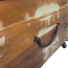 Coffee Table Trunk