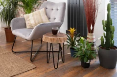 Acacia Wood Trunk Slice Table